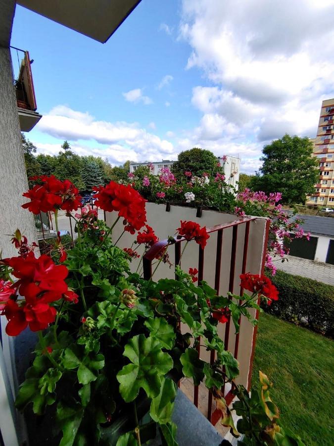 Апартаменты Loft House Sopot Apartament Экстерьер фото